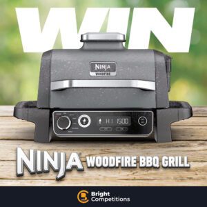 Ninja Woodfire Electric BBQ for 49p