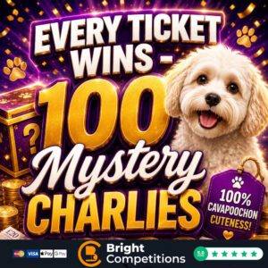 Mega Mystery Every Ticket Wins – Mystery Charlies & £250 Main Prize